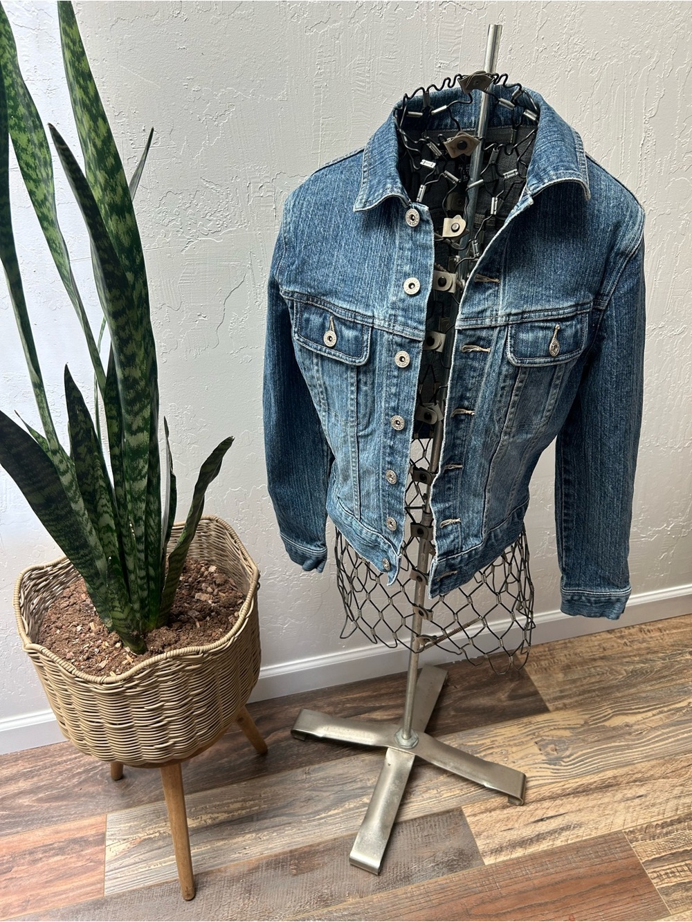 Express Jeans Stretch Denim Jacket Women's Size Small Fitted Blue Jean Jacket